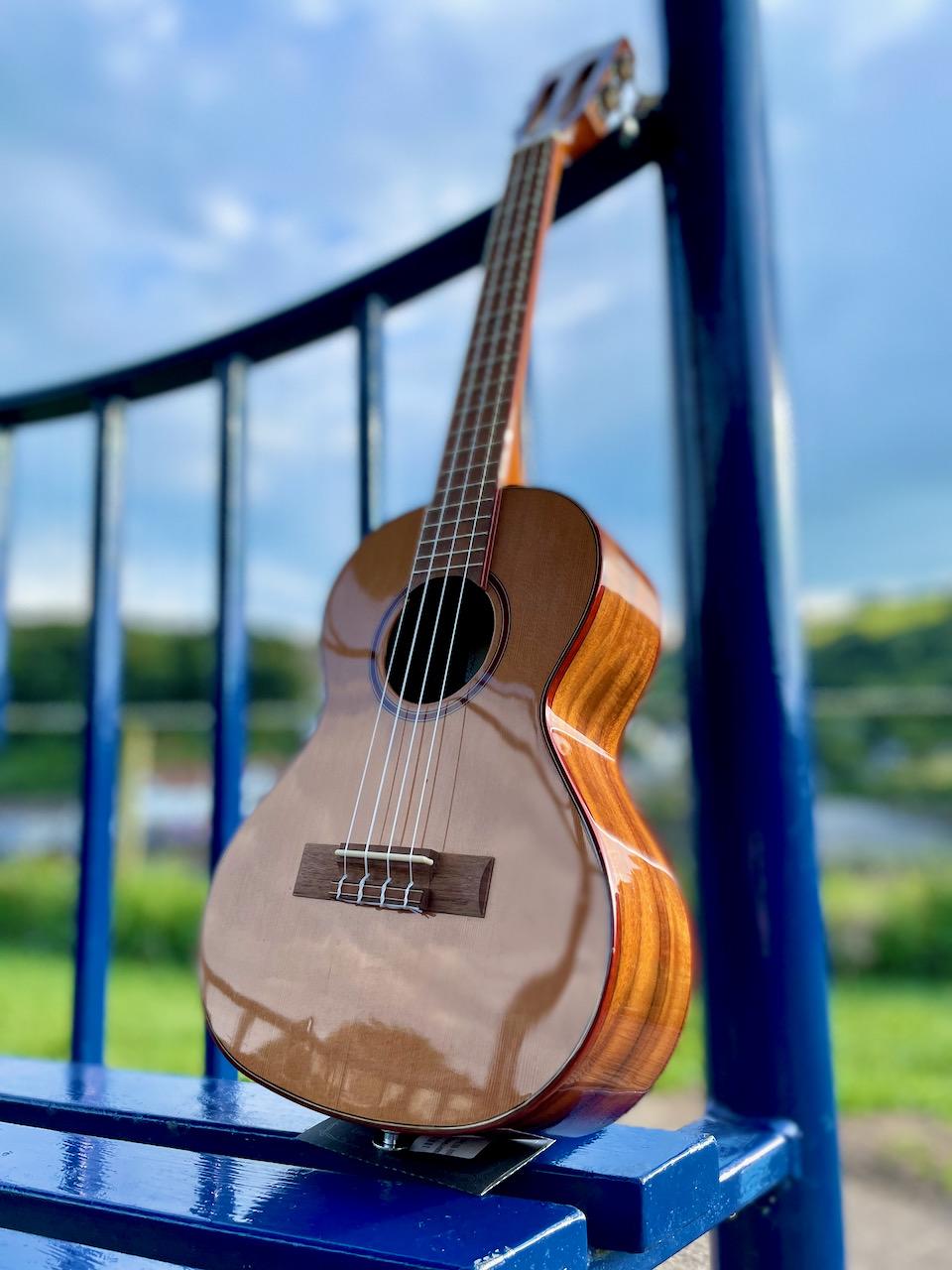 Ukulele in Combe Martin with a blue sky