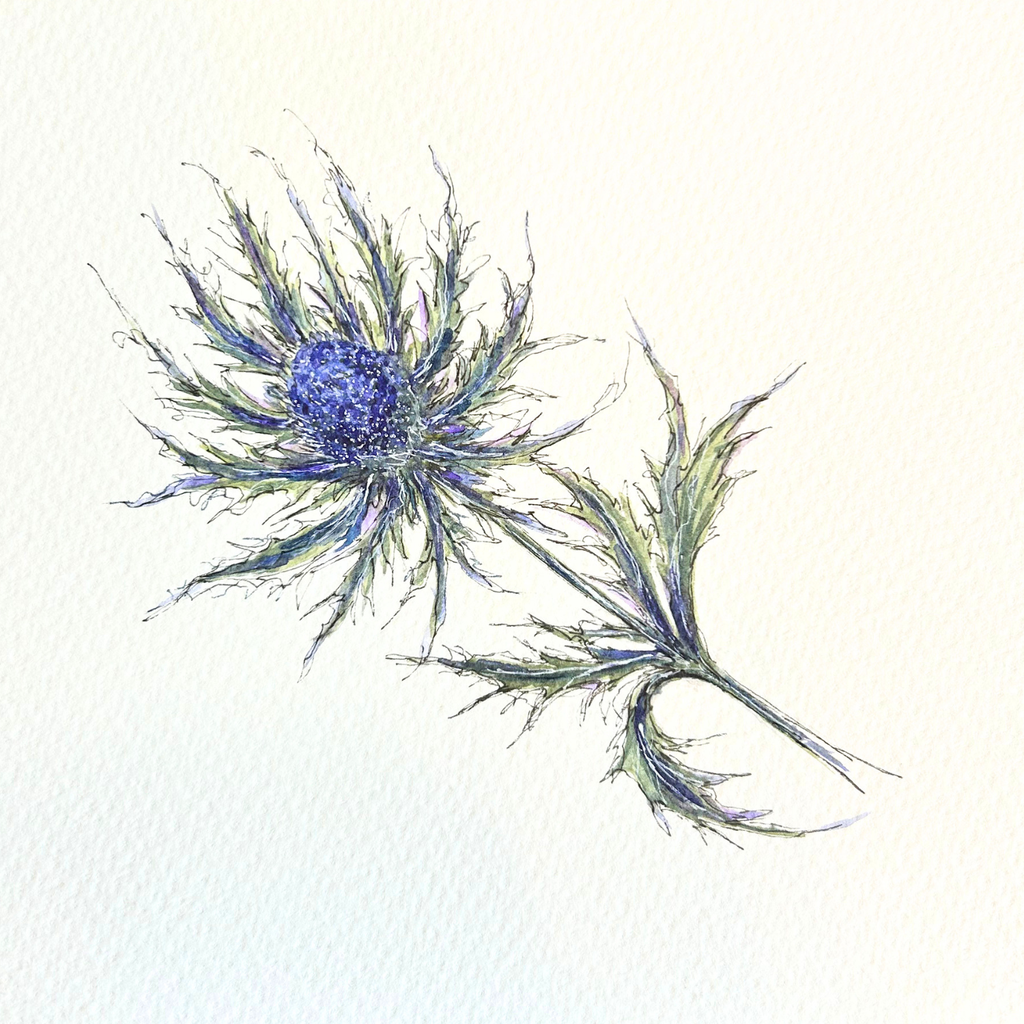 Art Prints
