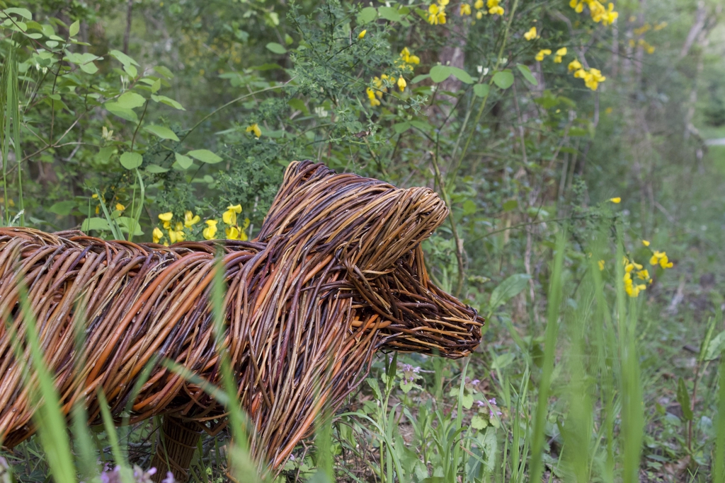 Sculptures en osier