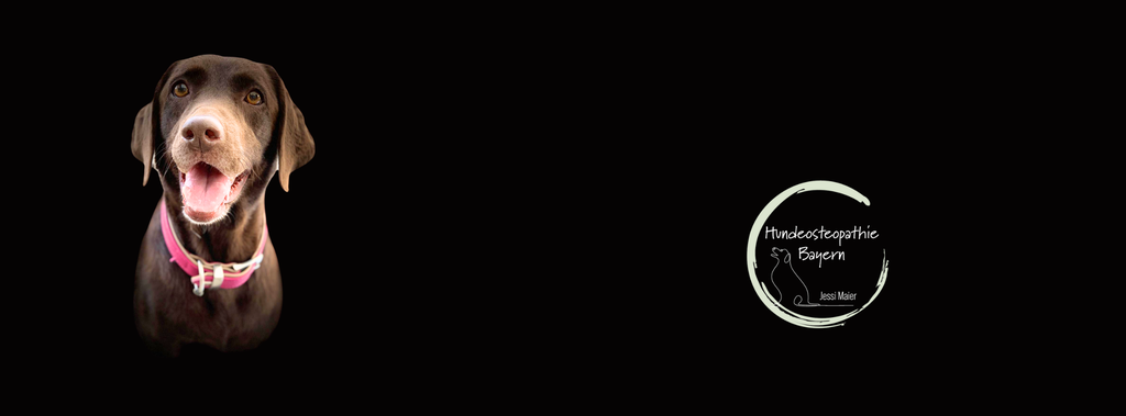 banner_image