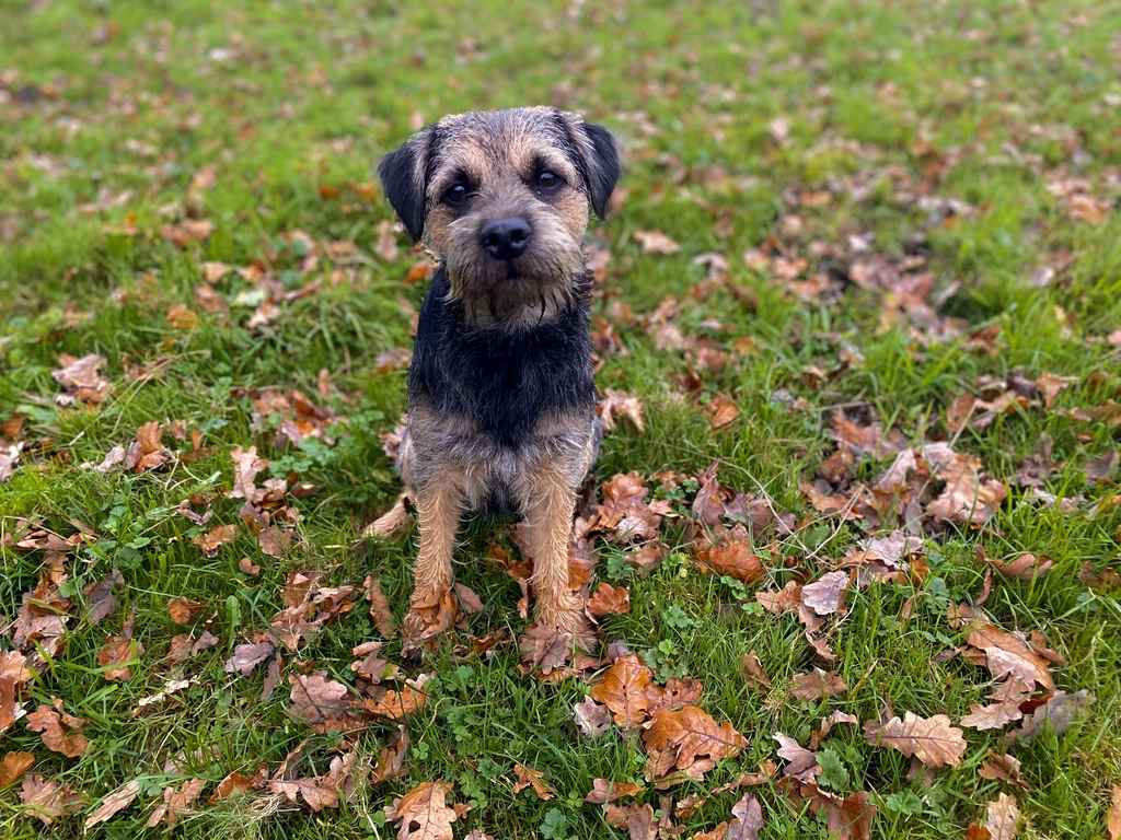banner_image
