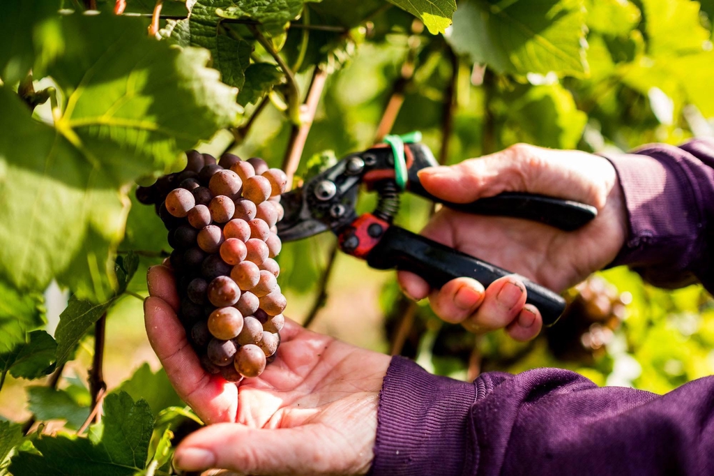 product_list_image_cover