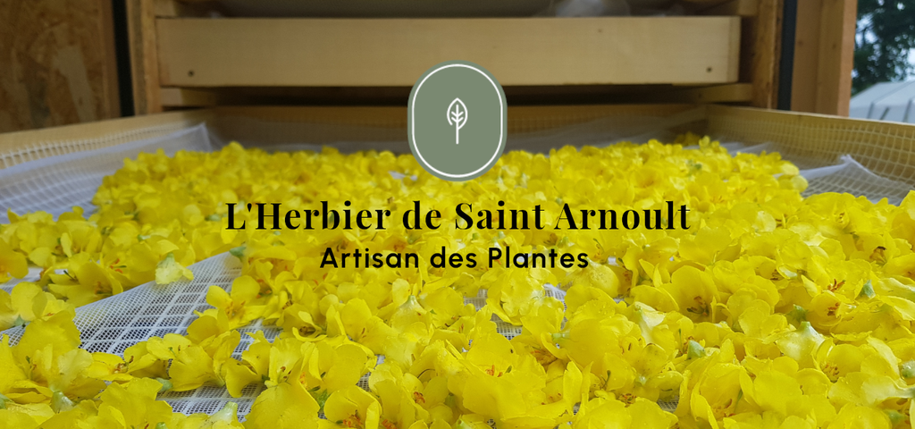 Tisane, sirop, sel aux herbes, sel aux plantes, sel au fleurs, sucre aux fleurs, huile infusée, vinaigre infusé, pesto, agriculture biologique, naturel, agriculture naturelle, plantes aromatiques et médicinales, pam, ppam, infusion, bienfait, plantes, plante, agriculture, local, artisan, artisanat local, produits locaux, produits naturels, vallée de chevreuse, yvelines, ile de France, locavore, Saint Arnoult en Yvelines, Dourdan, Rambouillet, permaculture, micro ferme, ferme urbaine, basilic, mauve, menthe, souci, guimauve, thé, perilla, camomille, bouillon blanc, thym, thym citron,mélisse, circulation, femme, ménopause, détox, élimination,pavot, sureau, verveine, vigne rouge, romarin, sauge, origan, frêne, lavande, bien être, bonne nuit, jambes légères, citron, agrume, agrumes, épices, épicé, décoction, macérat, diététique, médecine douce, bienfaits des plantes, herbier, L'herbier de Saint Arnoult, L'Herbier de St Arnoult, Artisan des plantes, qualité, haute qualité, tisanes, sirops naturels, sirop naturel, authentique, sans produits chimique, uab, demeter, biodynamie, nature et progrès, ecocert, label, charte agriculture naturelle, ferme aux herbes, ferme aux plantes, ferme aux ppam, Sainte Marthe, goût, arôme naturel, arômes naturels, culture naturelle, élaboration, épicerie fine, biodiversité, environnement, sol vivant, maraichage,