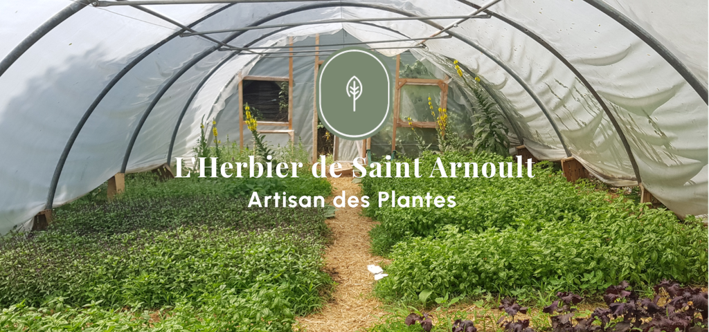 Tisane, sirop, sel aux herbes, sel aux plantes, sel au fleurs, sucre aux fleurs, huile infusée, vinaigre infusé, pesto, agriculture biologique, naturel, agriculture naturelle, plantes aromatiques et médicinales, pam, ppam, infusion, bienfait, plantes, plante, agriculture, local, artisan, artisanat local, produits locaux, produits naturels, vallée de chevreuse, yvelines, ile de France, locavore, Saint Arnoult en Yvelines, Dourdan, Rambouillet, permaculture, micro ferme, ferme urbaine, basilic, mauve, menthe, souci, guimauve, thé, perilla, camomille, bouillon blanc, thym, thym citron,mélisse, circulation, femme, ménopause, détox, élimination,pavot, sureau, verveine, vigne rouge, romarin, sauge, origan, frêne, lavande, bien être, bonne nuit, jambes légères, citron, agrume, agrumes, épices, épicé, décoction, macérat, diététique, médecine douce, bienfaits des plantes, herbier, L'herbier de Saint Arnoult, L'Herbier de St Arnoult, Artisan des plantes, qualité, haute qualité, tisanes, sirops naturels, sirop naturel, authentique, sans produits chimique, uab, demeter, biodynamie, nature et progrès, ecocert, label, charte agriculture naturelle, ferme aux herbes, ferme aux plantes, ferme aux ppam, Sainte Marthe, goût, arôme naturel, arômes naturels, culture naturelle, élaboration, épicerie fine, biodiversité, environnement, sol vivant, maraichage,