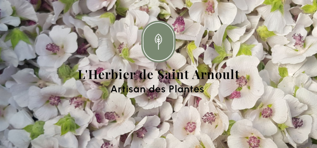 Tisane, sirop, sel aux herbes, sel aux plantes, sel au fleurs, sucre aux fleurs, huile infusée, vinaigre infusé, pesto, agriculture biologique, naturel, agriculture naturelle, plantes aromatiques et médicinales, pam, ppam, infusion, bienfait, plantes, plante, agriculture, local, artisan, artisanat local, produits locaux, produits naturels, vallée de chevreuse, yvelines, ile de France, locavore, Saint Arnoult en Yvelines, Dourdan, Rambouillet, permaculture, micro ferme, ferme urbaine, basilic, mauve, menthe, souci, guimauve, thé, perilla, camomille, bouillon blanc, thym, thym citron,mélisse, circulation, femme, ménopause, détox, élimination,pavot, sureau, verveine, vigne rouge, romarin, sauge, origan, frêne, lavande, bien être, bonne nuit, jambes légères, citron, agrume, agrumes, épices, épicé, décoction, macérat, diététique, médecine douce, bienfaits des plantes, herbier, L'herbier de Saint Arnoult, L'Herbier de St Arnoult, Artisan des plantes, qualité, haute qualité, tisanes, sirops naturels, sirop naturel, authentique, sans produits chimique, uab, demeter, biodynamie, nature et progrès, ecocert, label, charte agriculture naturelle, ferme aux herbes, ferme aux plantes, ferme aux ppam, Sainte Marthe, goût, arôme naturel, arômes naturels, culture naturelle, élaboration, épicerie fine, biodiversité, environnement, sol vivant, maraichage,