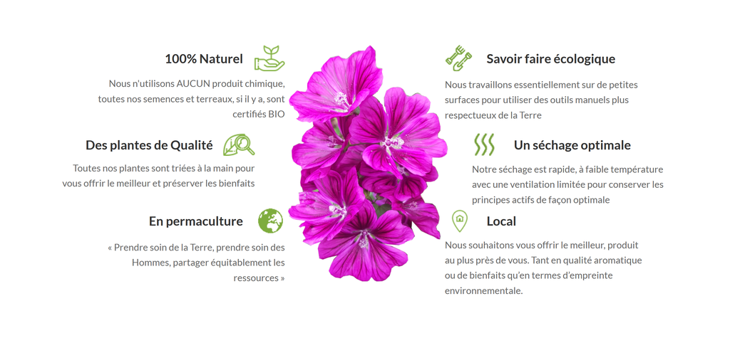 Tisane, sirop, sel aux herbes, sel aux plantes, sel au fleurs, sucre aux fleurs, huile infusée, vinaigre infusé, pesto, agriculture biologique, naturel, agriculture naturelle, plantes aromatiques et médicinales, pam, ppam, infusion, bienfait, plantes, plante, agriculture, local, artisan, artisanat local, produits locaux, produits naturels, vallée de chevreuse, yvelines, ile de France, locavore, Saint Arnoult en Yvelines, Dourdan, Rambouillet, permaculture, micro ferme, ferme urbaine, basilic, mauve, menthe, souci, guimauve, thé, perilla, camomille, bouillon blanc, thym, thym citron,mélisse, circulation, femme, ménopause, détox, élimination,pavot, sureau, verveine, vigne rouge, romarin, sauge, origan, frêne, lavande, bien être, bonne nuit, jambes légères, citron, agrume, agrumes, épices, épicé, décoction, macérat, diététique, médecine douce, bienfaits des plantes, herbier, L'herbier de Saint Arnoult, L'Herbier de St Arnoult, Artisan des plantes, qualité, haute qualité, tisanes, sirops naturels, sirop naturel, authentique, sans produits chimique, uab, demeter, biodynamie, nature et progrès, ecocert, label, charte agriculture naturelle, ferme aux herbes, ferme aux plantes, ferme aux ppam, Sainte Marthe, goût, arôme naturel, arômes naturels, culture naturelle, élaboration, épicerie fine, biodiversité, environnement, sol vivant, maraichage,