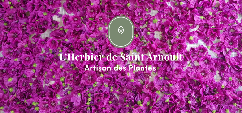 Tisane, sirop, sel aux herbes, sel aux plantes, sel au fleurs, sucre aux fleurs, huile infusée, vinaigre infusé, pesto, agriculture biologique, naturel, agriculture naturelle, plantes aromatiques et médicinales, pam, ppam, infusion, bienfait, plantes, plante, agriculture, local, artisan, artisanat local, produits locaux, produits naturels, vallée de chevreuse, yvelines, ile de France, locavore, Saint Arnoult en Yvelines, Dourdan, Rambouillet, permaculture, micro ferme, ferme urbaine, basilic, mauve, menthe, souci, guimauve, thé, perilla, camomille, bouillon blanc, thym, thym citron,mélisse, circulation, femme, ménopause, détox, élimination,pavot, sureau, verveine, vigne rouge, romarin, sauge, origan, frêne, lavande, bien être, bonne nuit, jambes légères, citron, agrume, agrumes, épices, épicé, décoction, macérat, diététique, médecine douce, bienfaits des plantes, herbier, L'herbier de Saint Arnoult, L'Herbier de St Arnoult, Artisan des plantes, qualité, haute qualité, tisanes, sirops naturels, sirop naturel, authentique, sans produits chimique, uab, demeter, biodynamie, nature et progrès, ecocert, label, charte agriculture naturelle, ferme aux herbes, ferme aux plantes, ferme aux ppam, Sainte Marthe, goût, arôme naturel, arômes naturels, culture naturelle, élaboration, épicerie fine, biodiversité, environnement, sol vivant, maraichage,