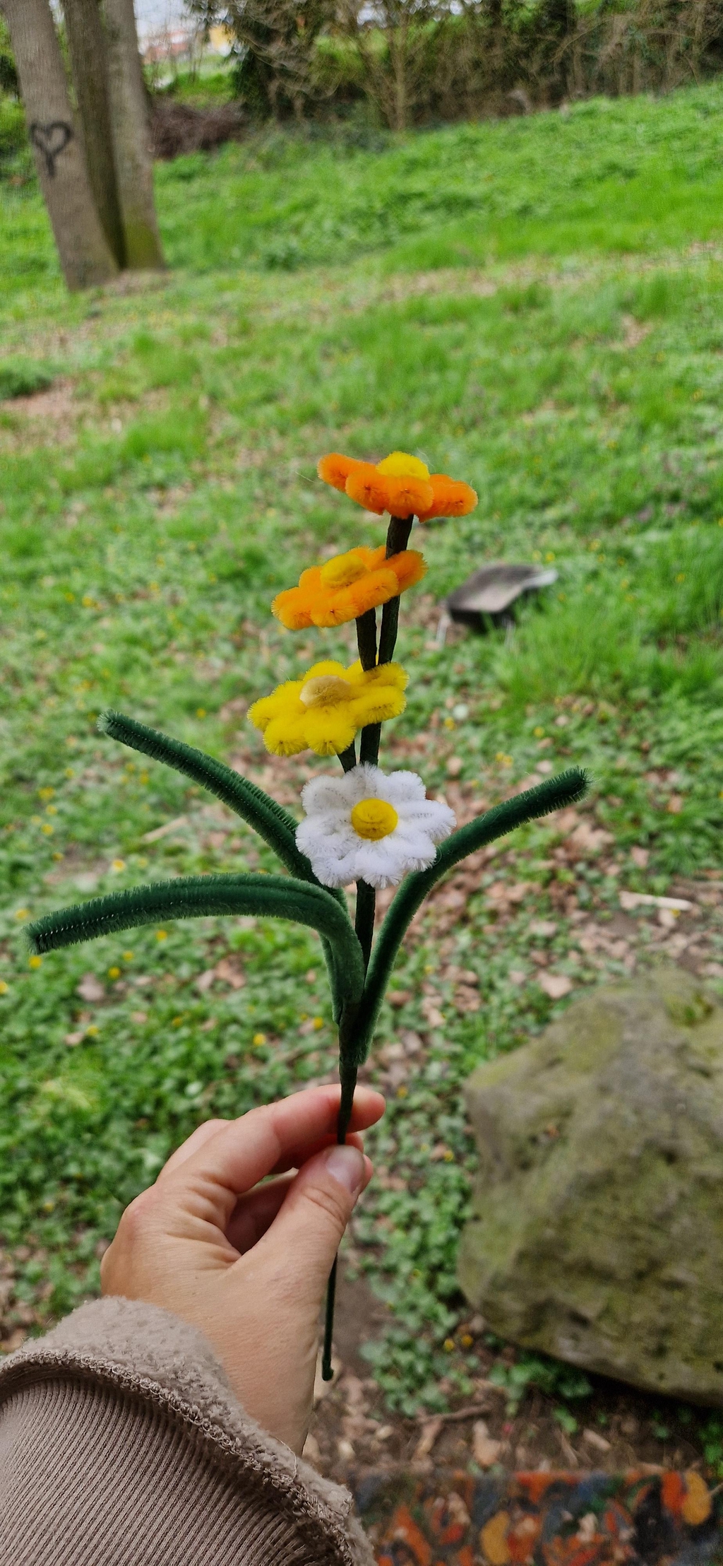 product_list_image_cover