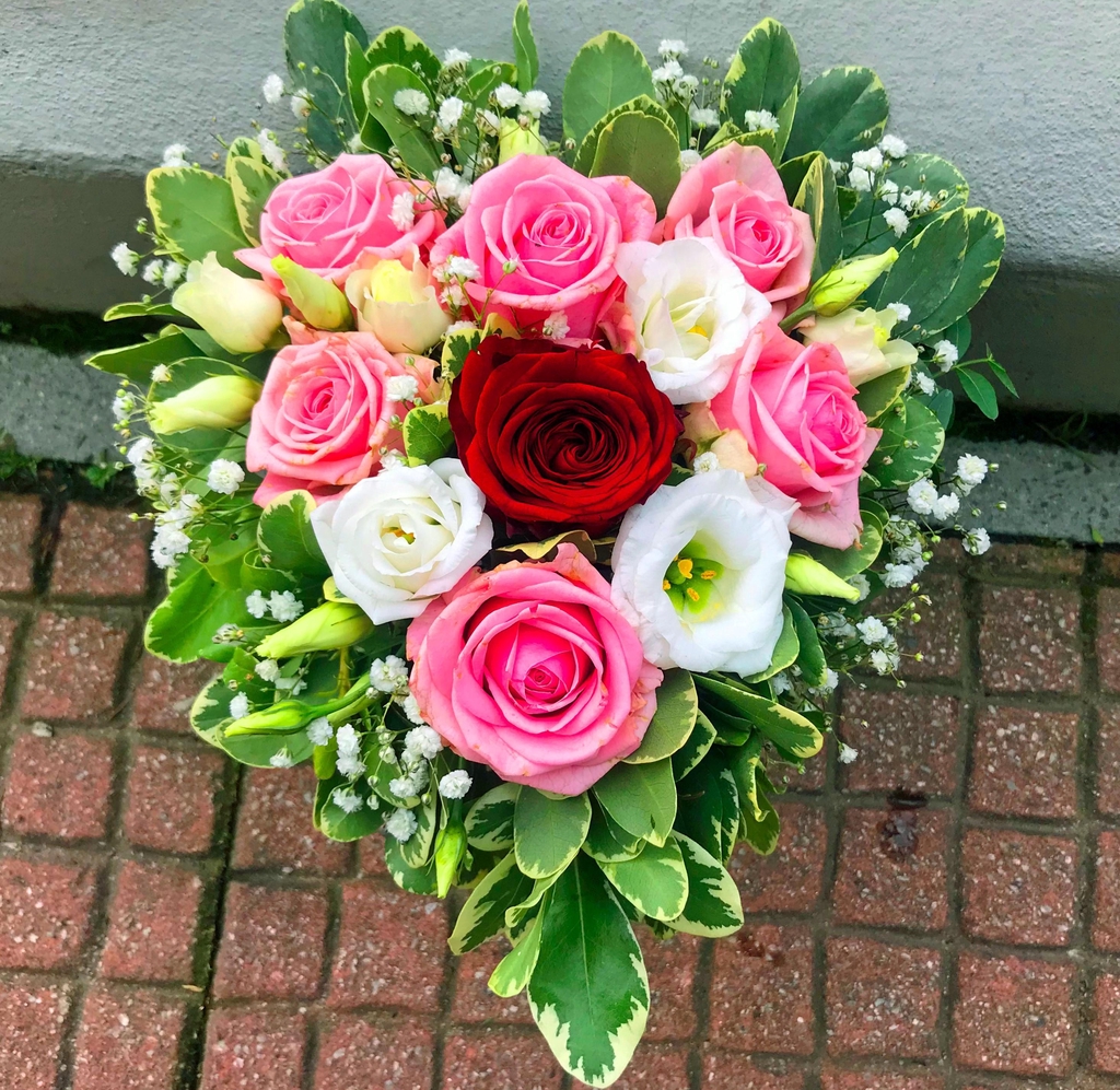 product_list_image_cover