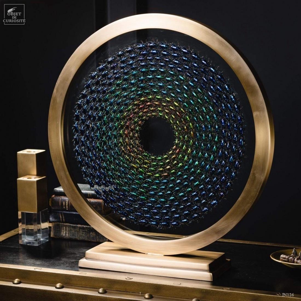 Ronde de sagra Fermorata, le coup de coeur de Gregory