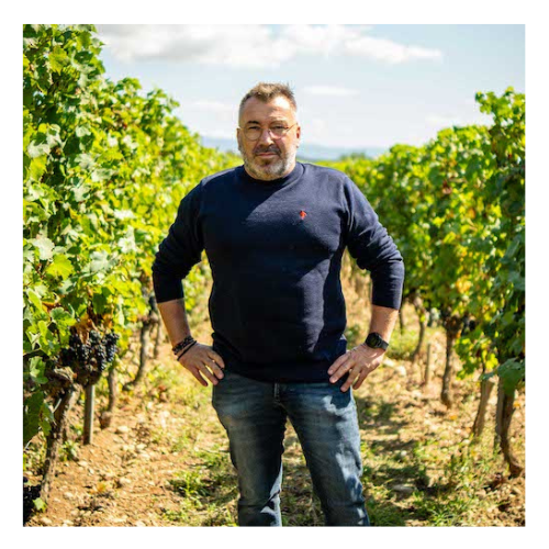 Domaine Sébastien Michelas | Grands Vins de Crozes‑Hermitage