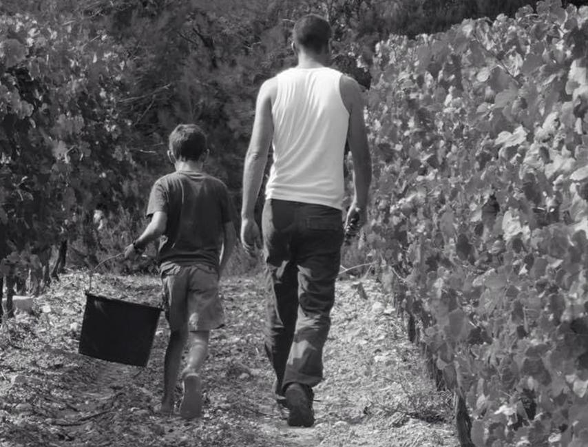 Domaine La Costesse – Gilles Nougalliat | Vins du Pic Saint‑Loup d’Exception