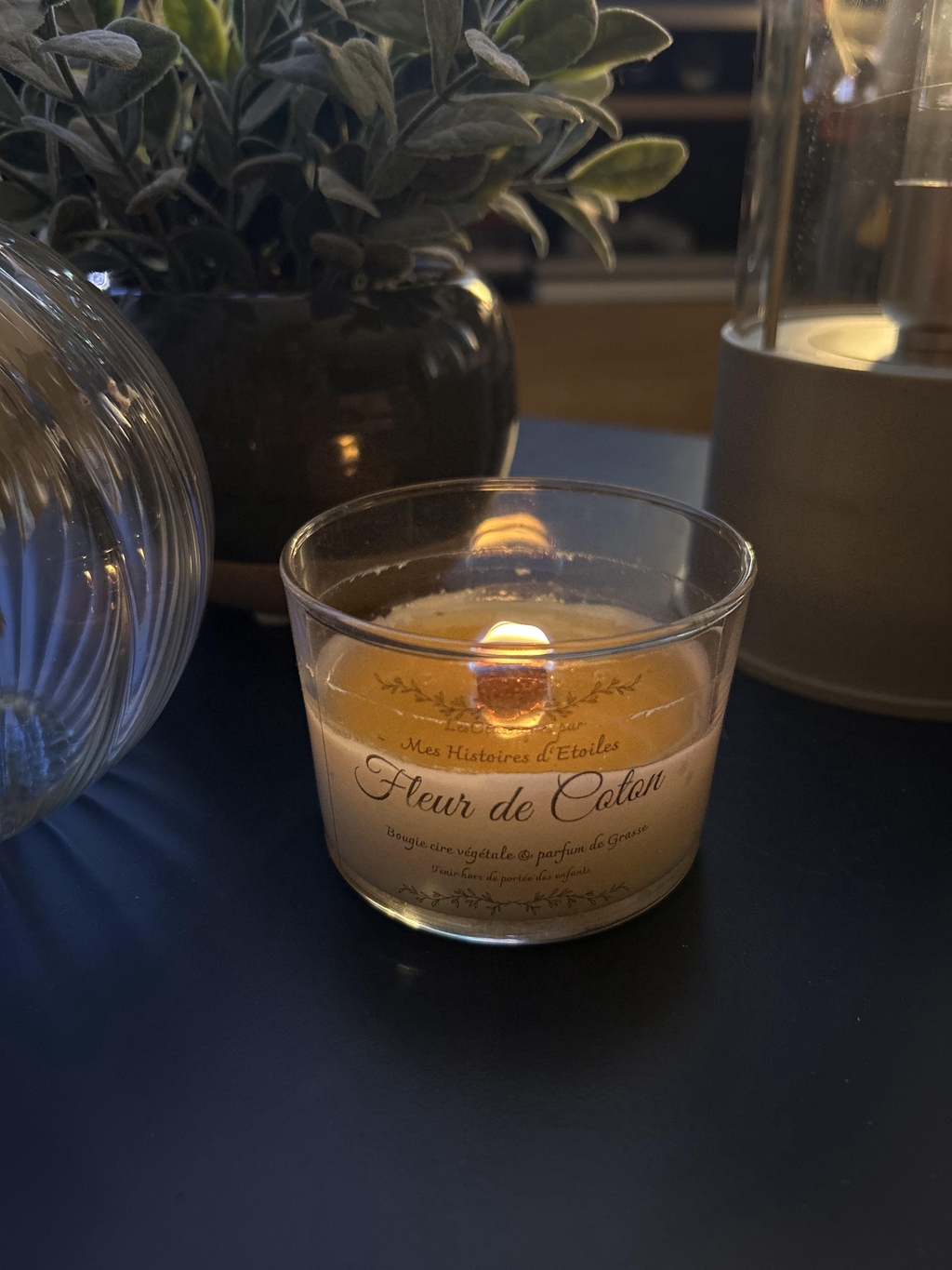 Bienvenue dans mon atelier de créations, vous découvrirez au fil des mois des créations diverses ainsi que des bougies créés à la main avec de la cire de soja  associées à des fragrances de Grasses, une gamme qui évolue en fonction des saisons. 