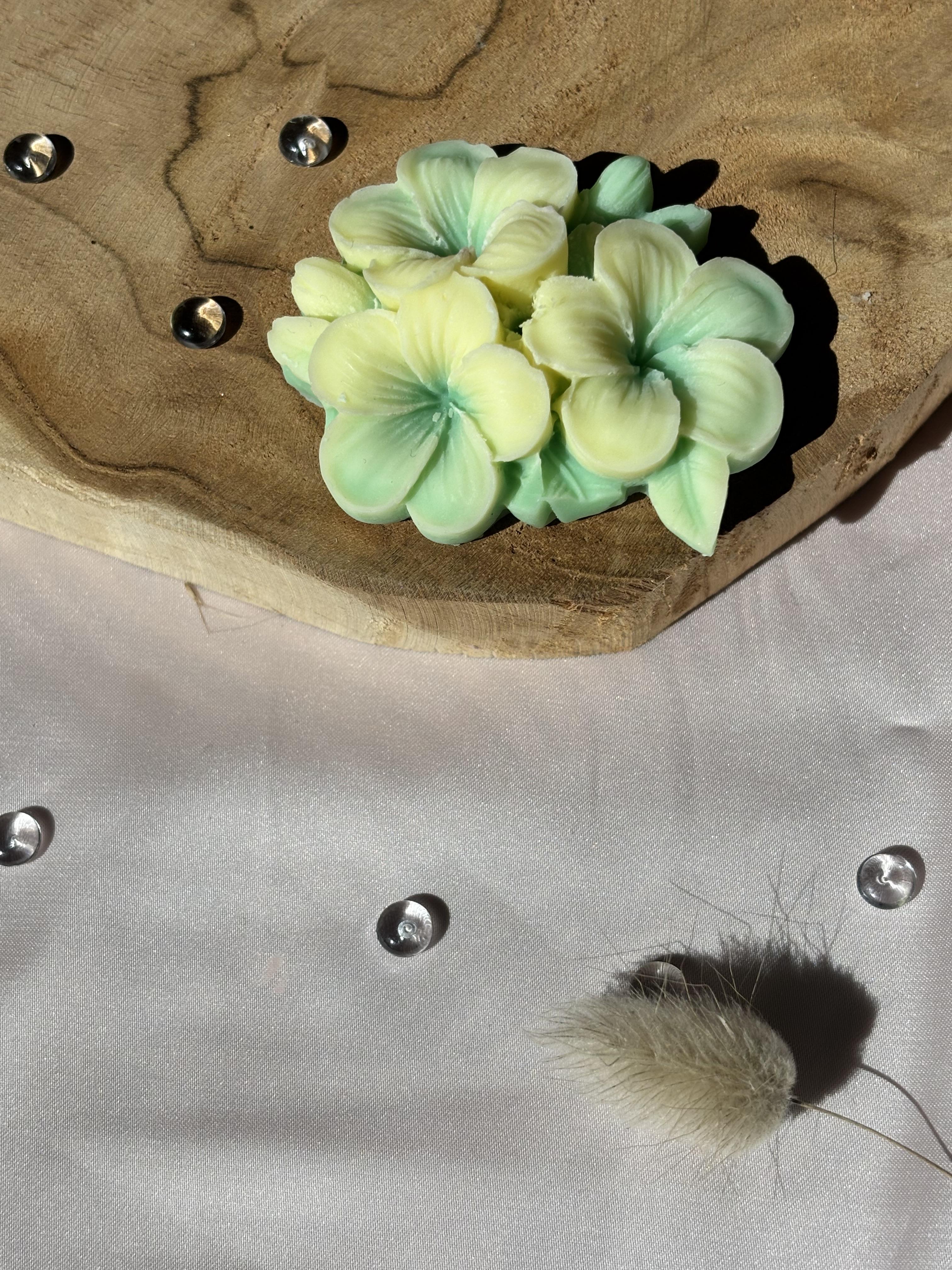 fondant parfumé cire de colza et parfum de grasse