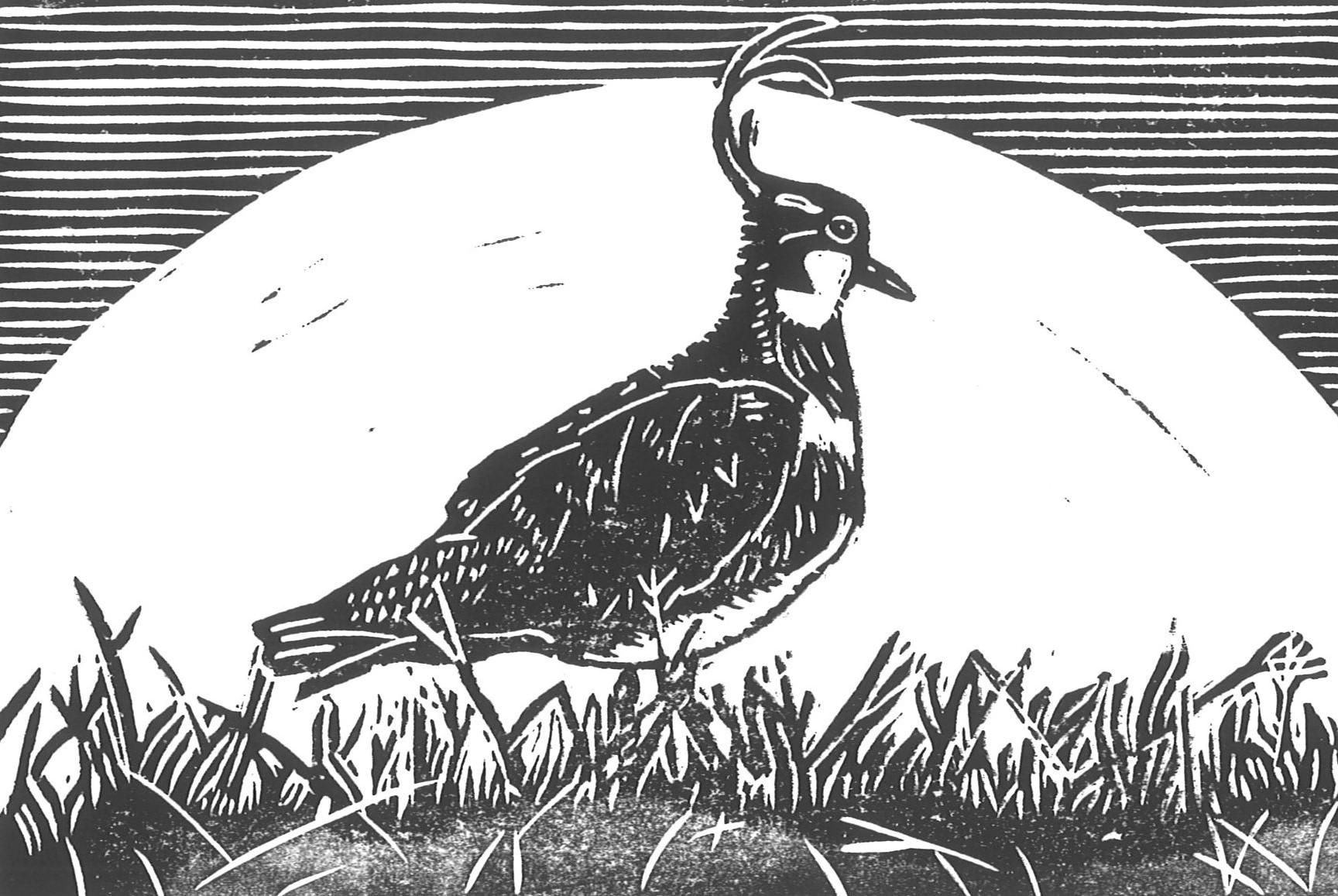 Vogels