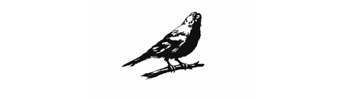 store_logo