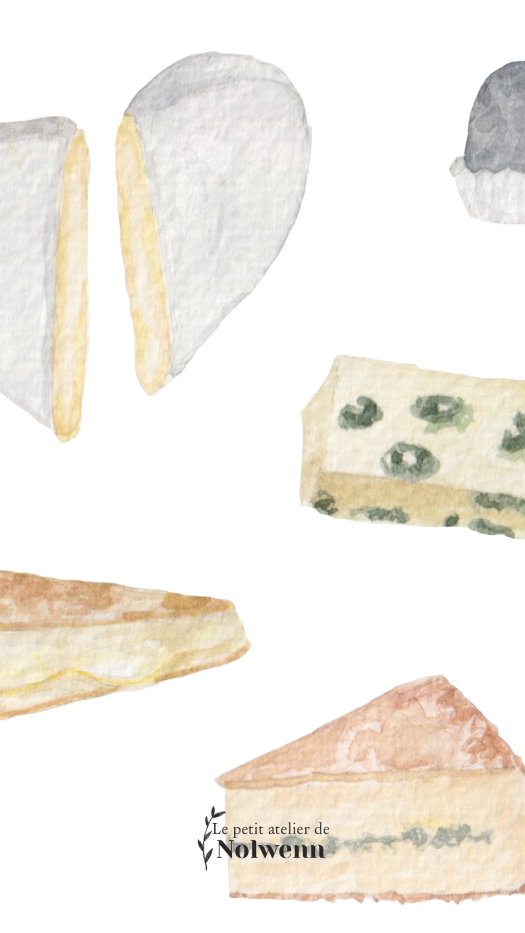 Cartes de la collection "vins & fromages"