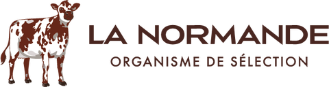 Boutique officielle race Normande