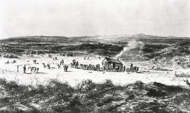 Section image