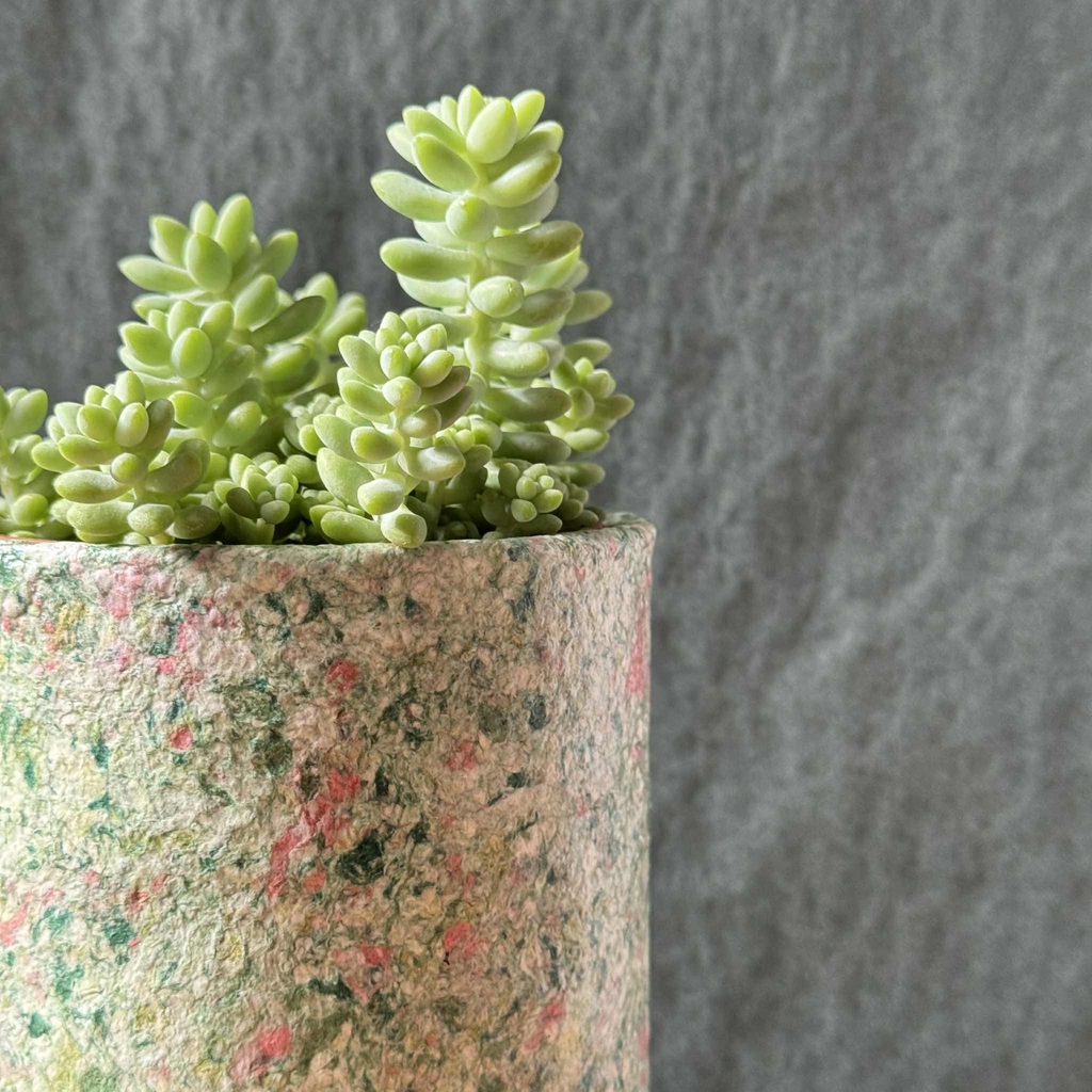 Pots à plante éco-responsable