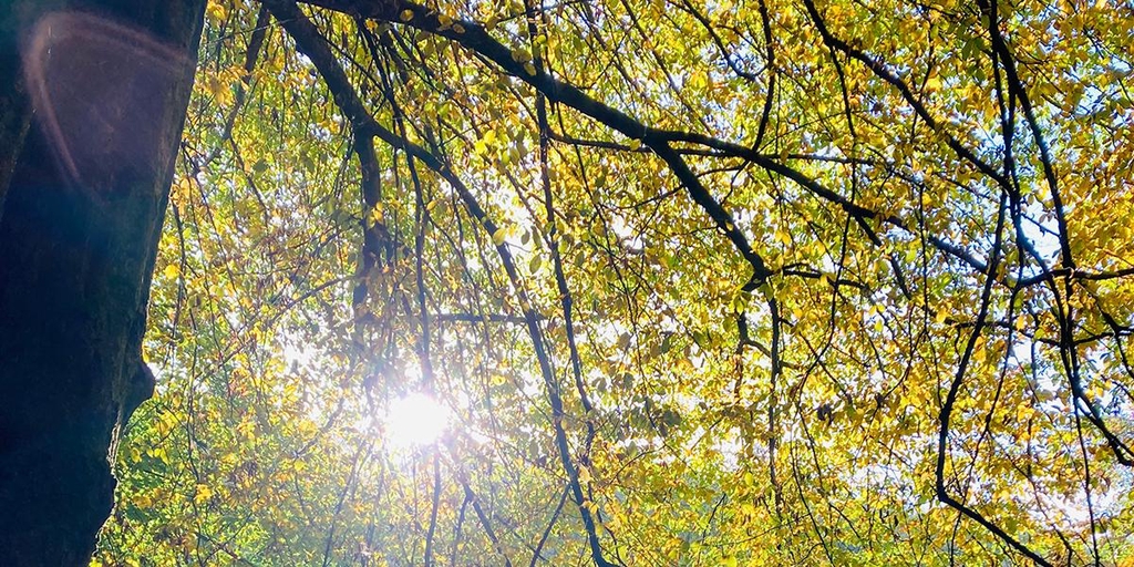 Naturprodukte für Dein Wohlbefinden | Klang und Natur Entspannung