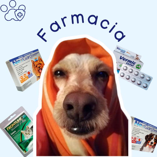 Farmacia