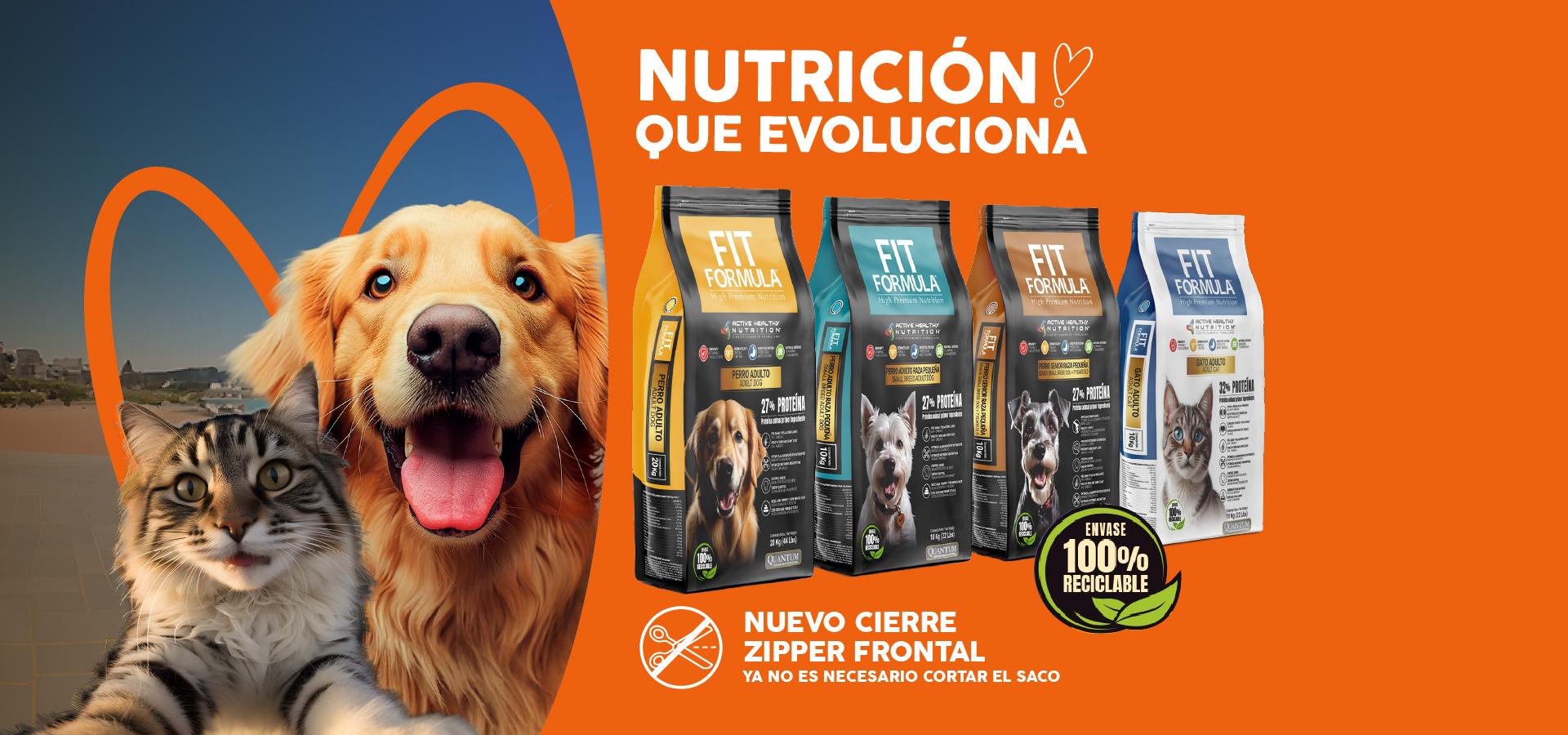 Alimentos de perro