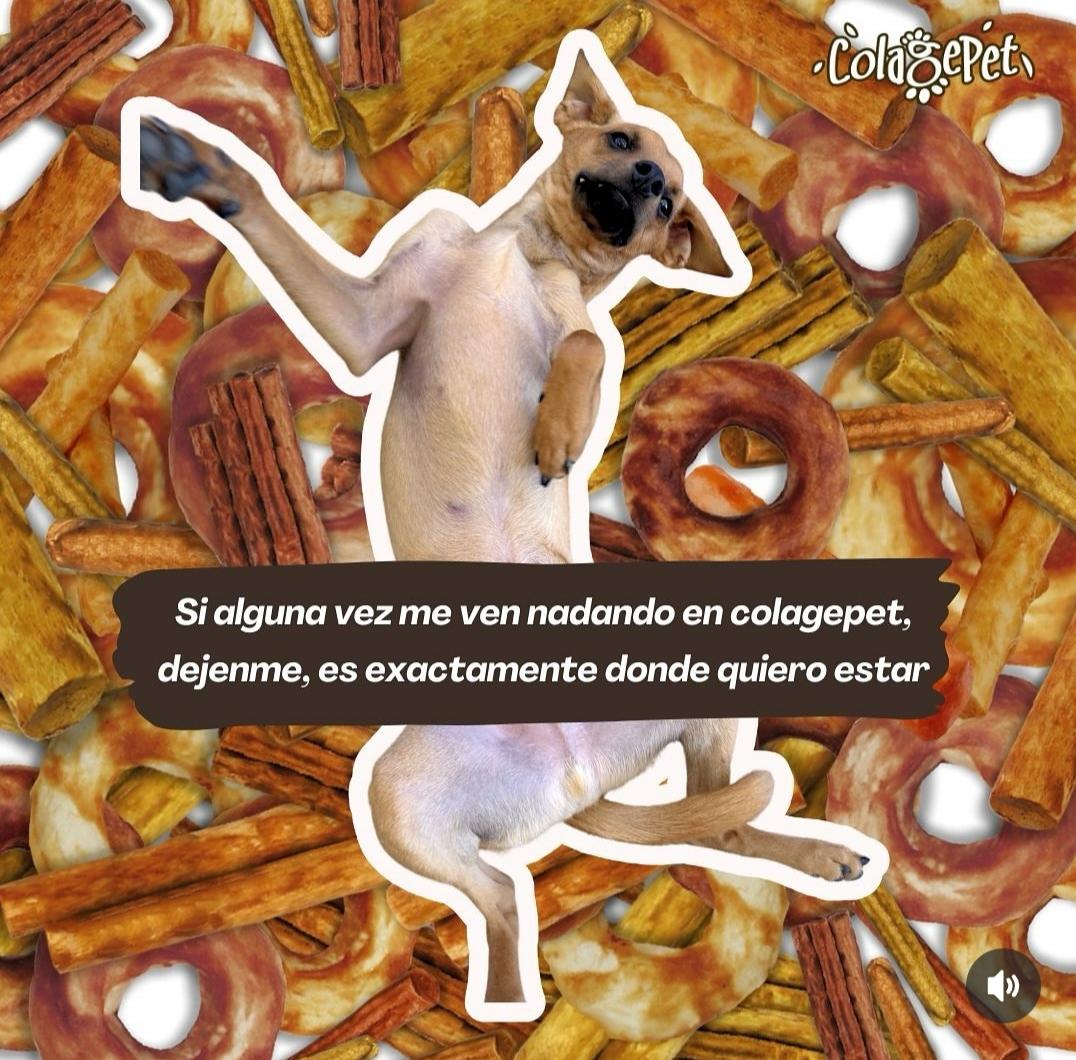 Snack de perro