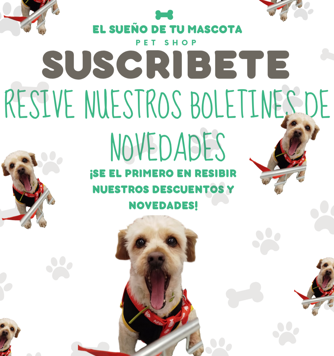 Newsletter