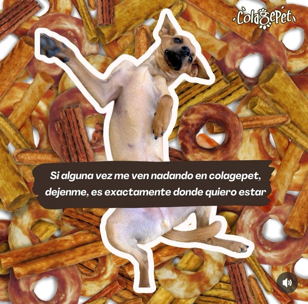 Los más ricos snack de colagepet 