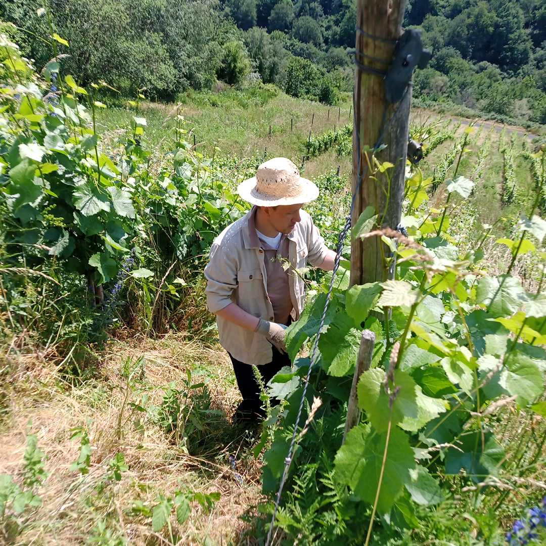 W. von Null Erik Hofmann Mosel