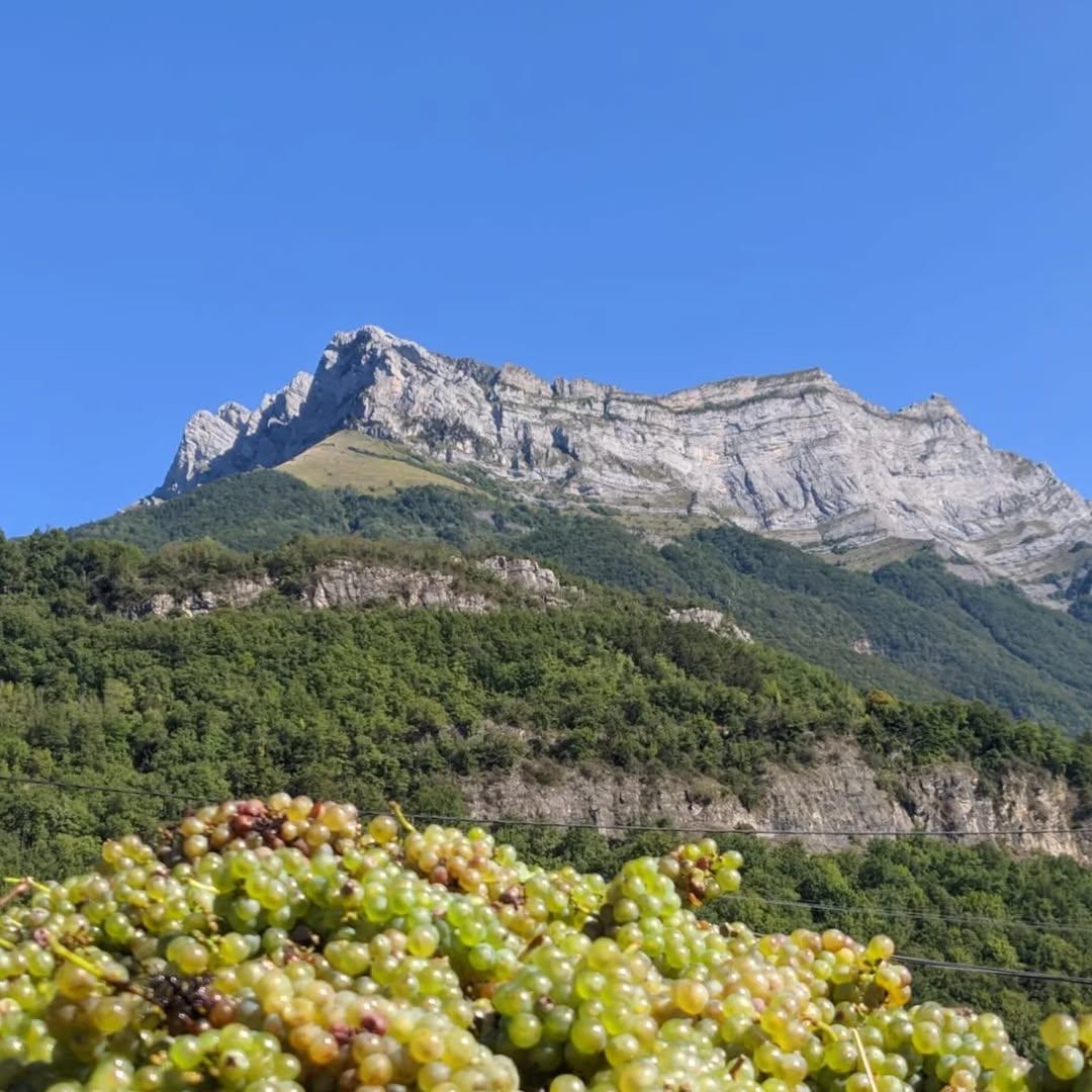 Domaine Saint-Germain Bio FRA