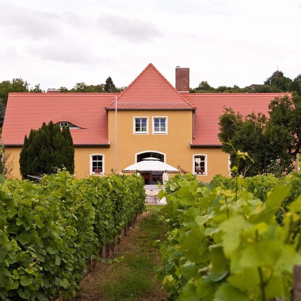 Gussek Freyburg Saale-Unstrut