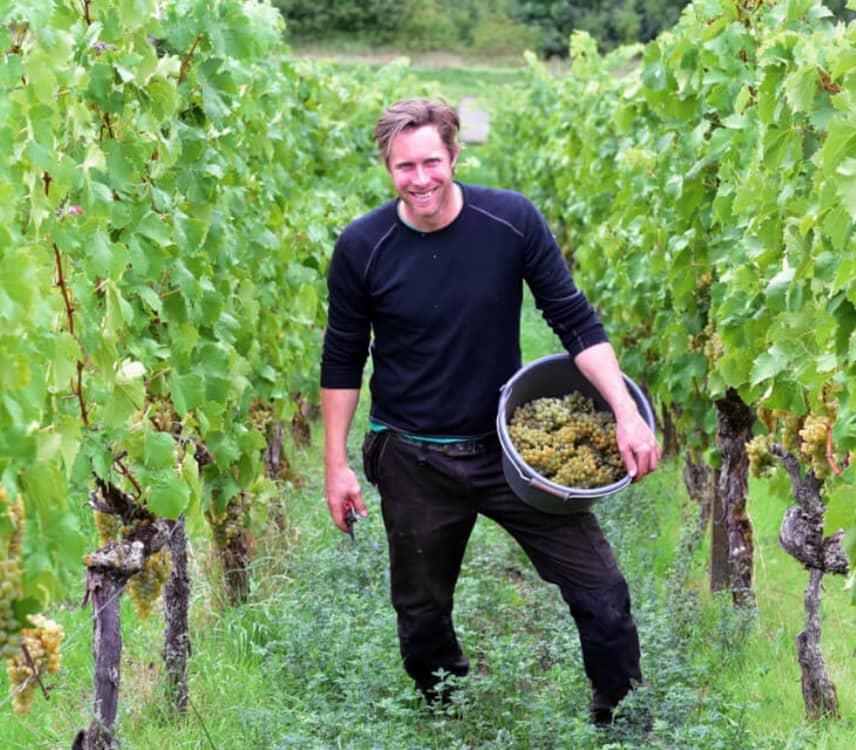 Stephan Krämer Ökolog. Weinbau