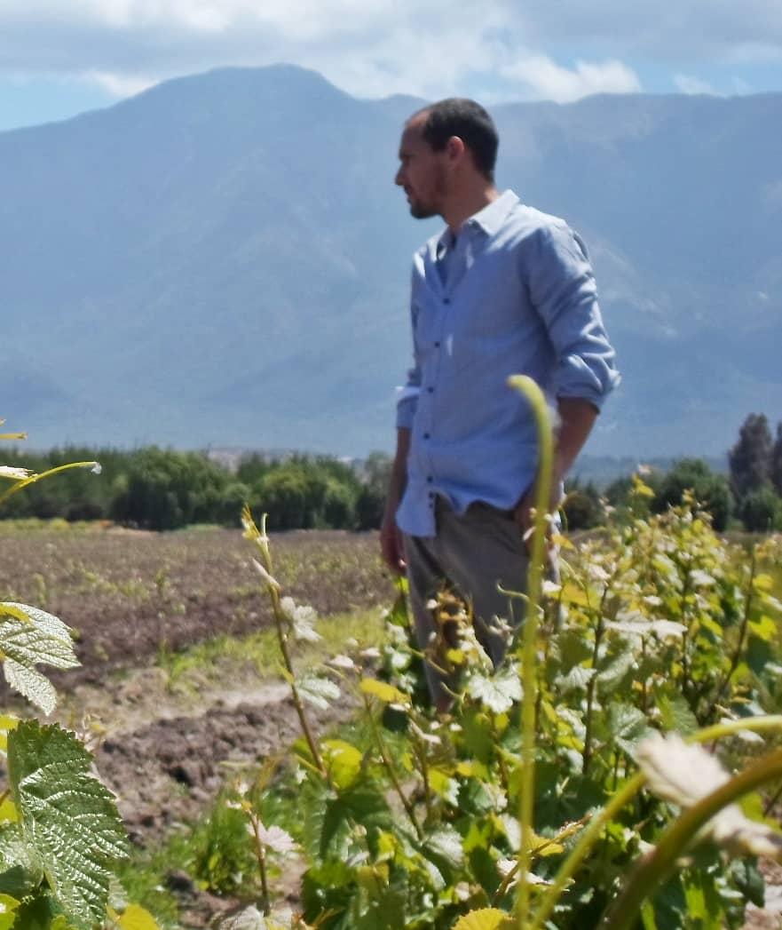 Vultur Wines Chile natural