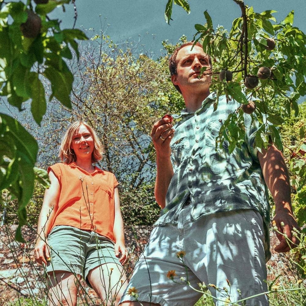 product_list_image_cover