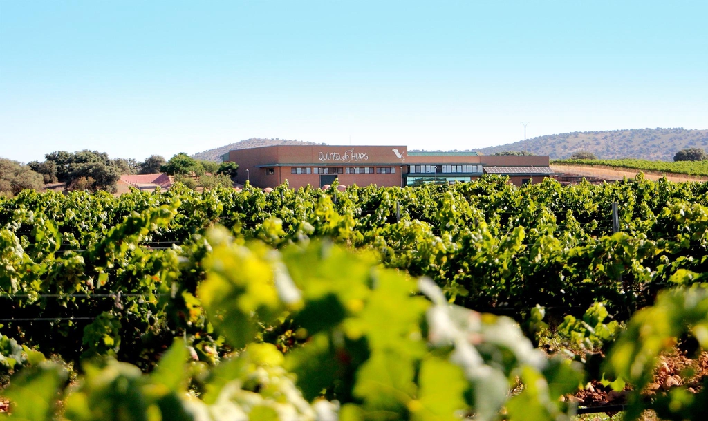 Die Finca Quinta de Aves umfasst 500 Hektar, von denen lediglich 81 Hektar Weinberge sind !

Der Rest besteht aus Oliven, Getreide und Eichen- und Korkeichenwäldern.

Wir haben auch einen kleinen See auf unserem vulkanischem Mutterboden, der die Umgebung und die Eigenschaften des Anwesens wirklich besonders macht.

Die Vögel geben dem Anwesen seinen Namen, da sich der Campo de Calatrava auf einer der Wanderrouten diverser Vögel befindet. Dies schafft eine sehr natürliche Umgebung und eine unschlagbare Landschaft, in der Sie das ganze Jahr über mehr als hundert verschiedene Arten finden können. Viele von ihnen leben in der Umgebung des Weinguts, neben den Weinreben und dem Teich, wo Sie sie leicht fliegen und baden sehen können.