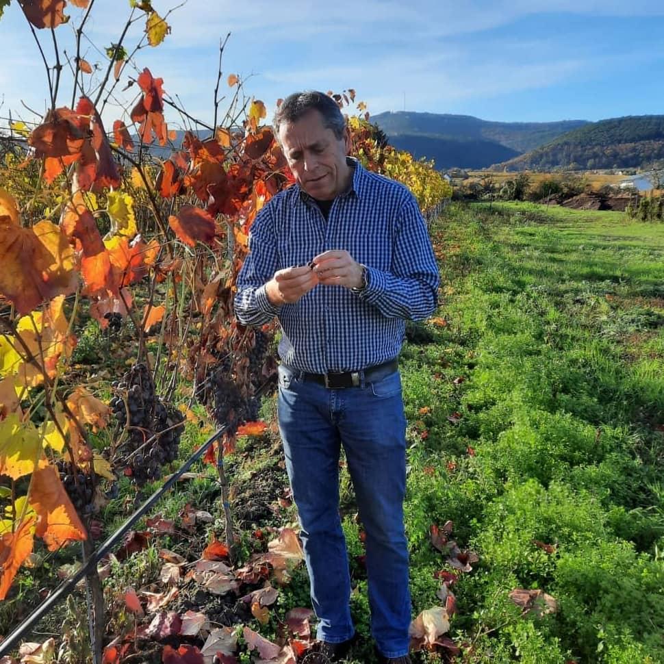 product_list_image_cover