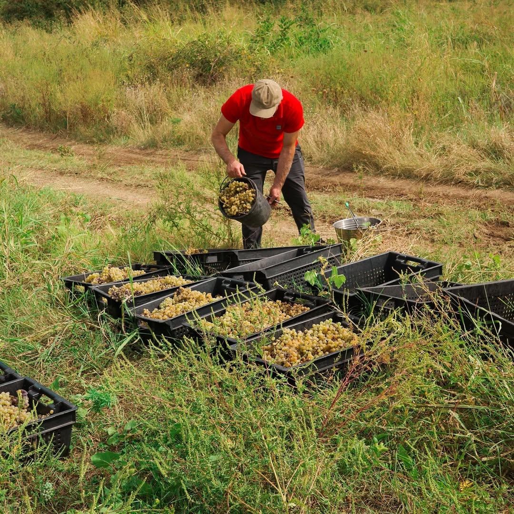 product_list_image_cover