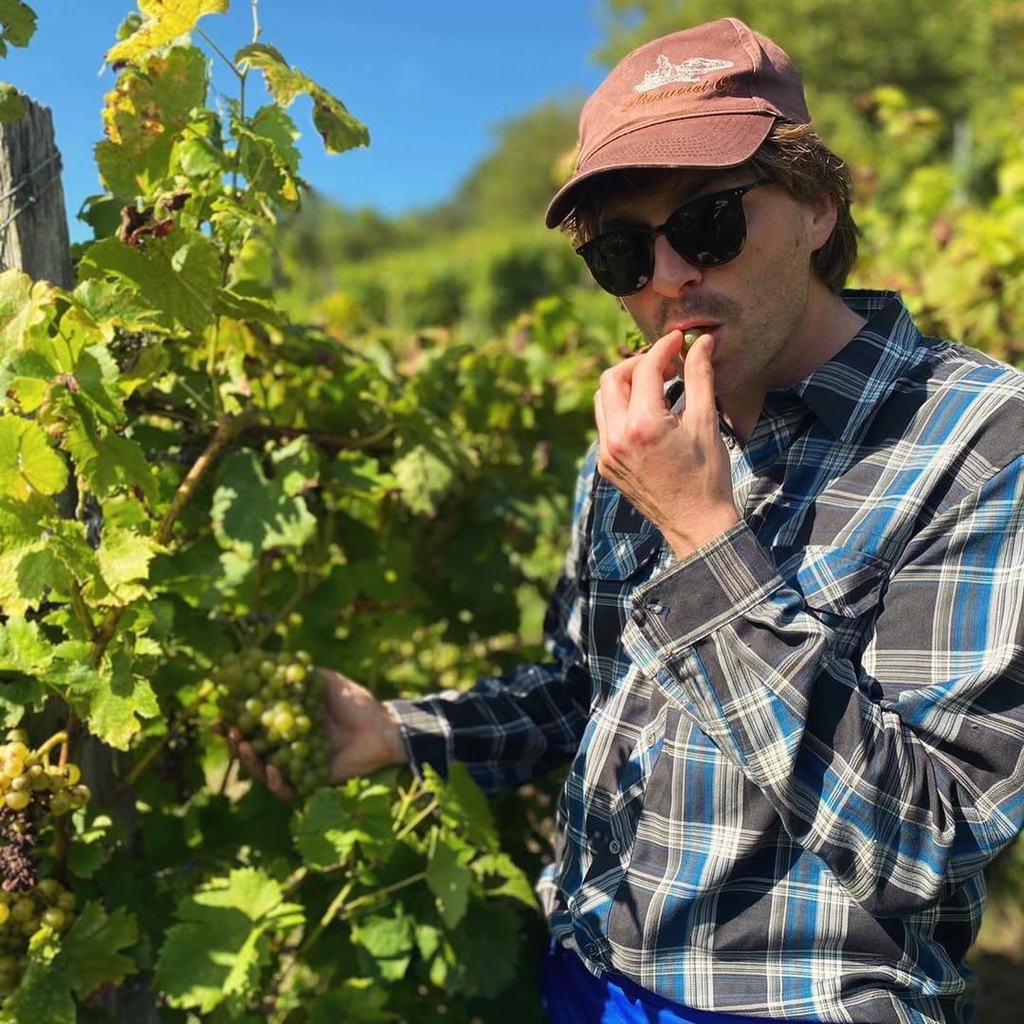 product_list_image_cover