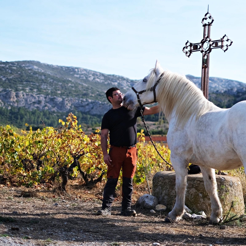 product_list_image_cover