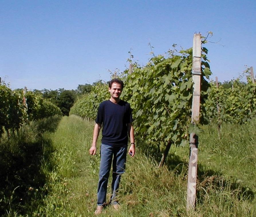 product_list_image_cover