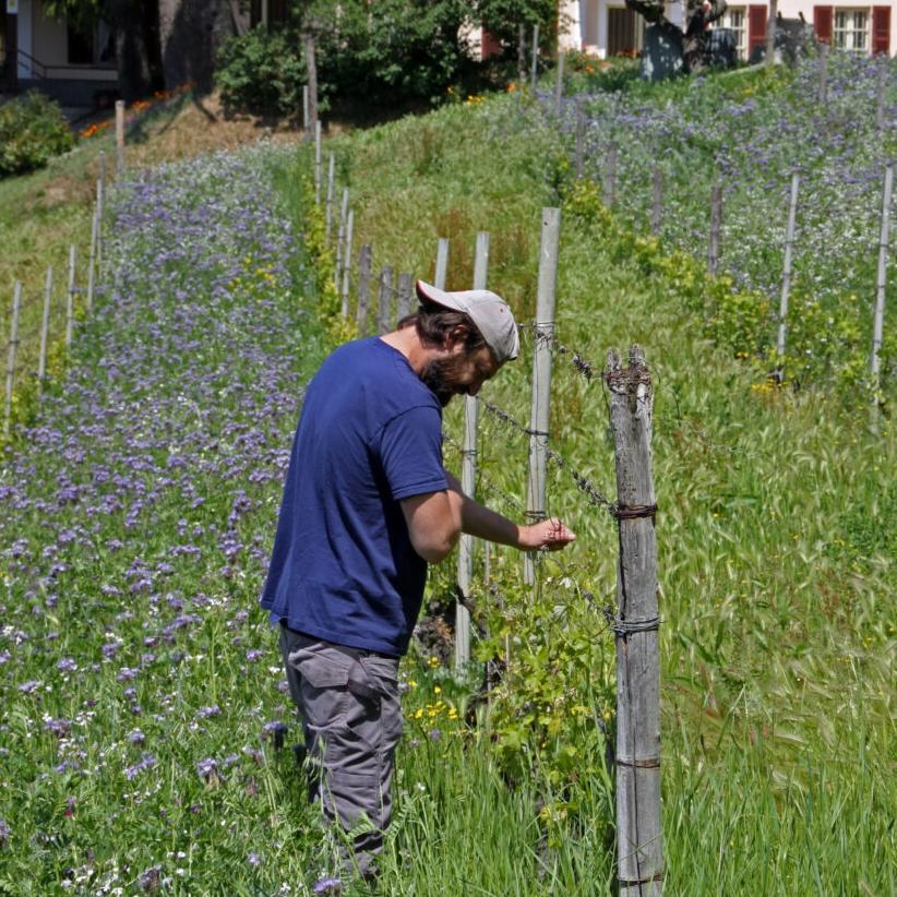 product_list_image_cover