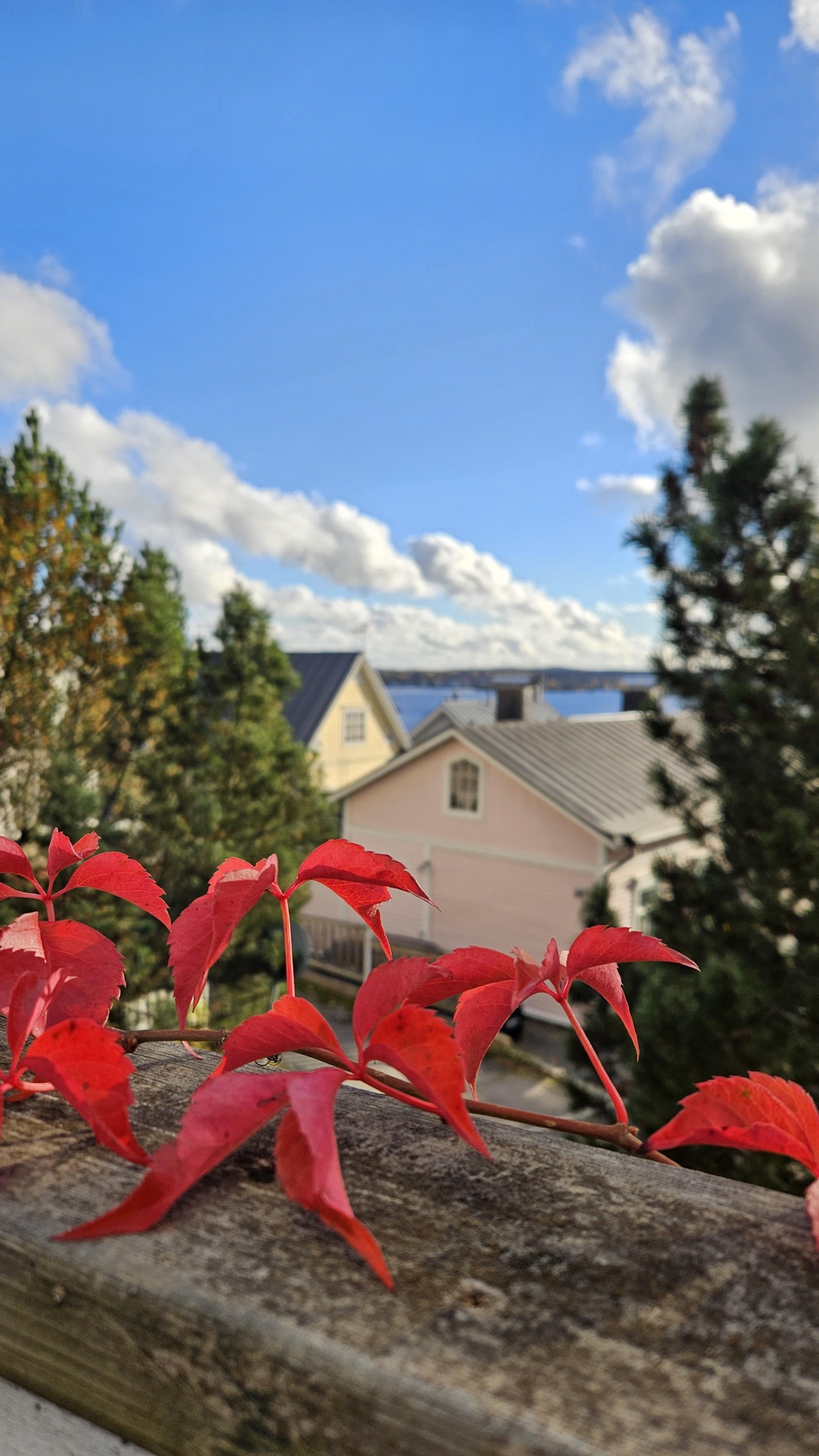 Suomalainen mikropaahtimo paahtaa erikoiskahvit, ja valikoimissa on myös laadukasta teetä ja maustesekoituksia