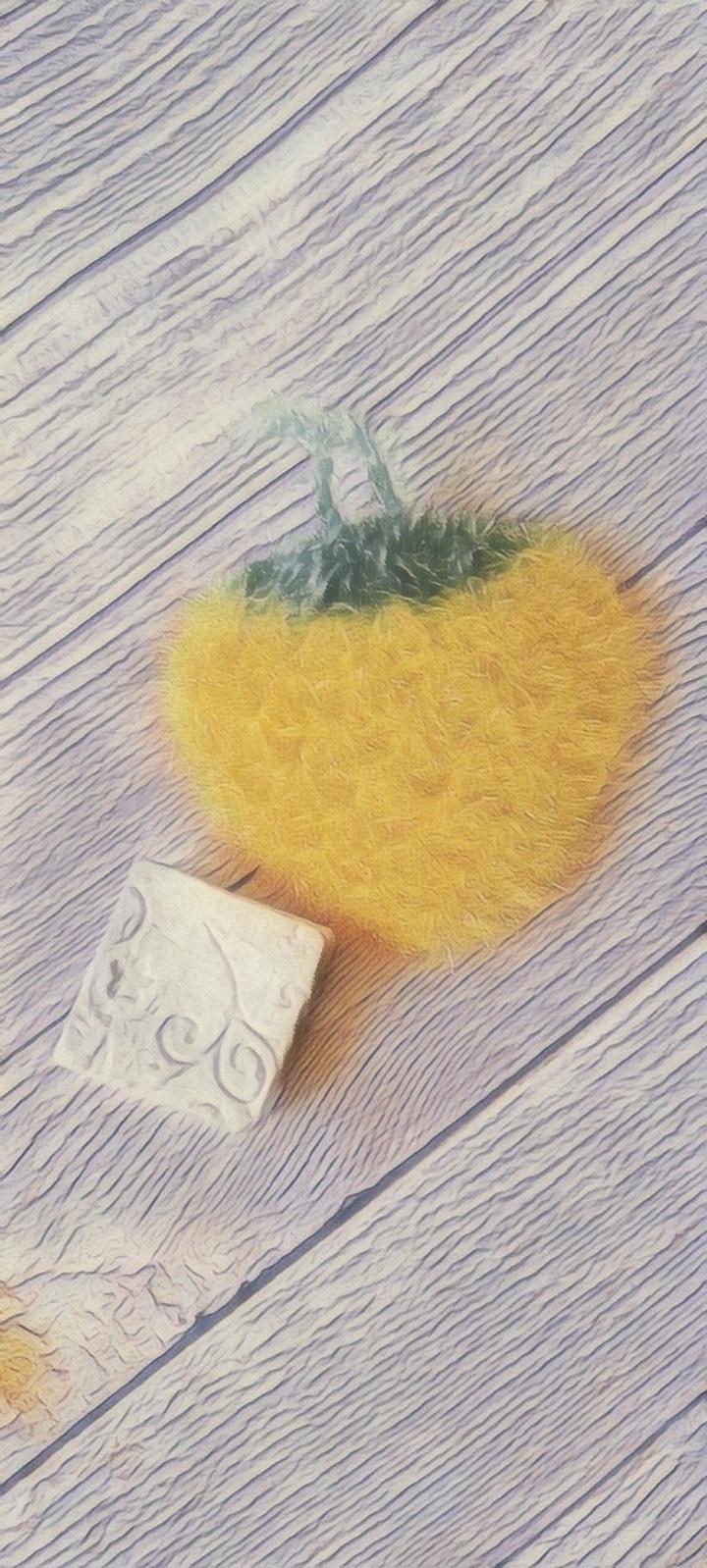 Fleur de douche lavable