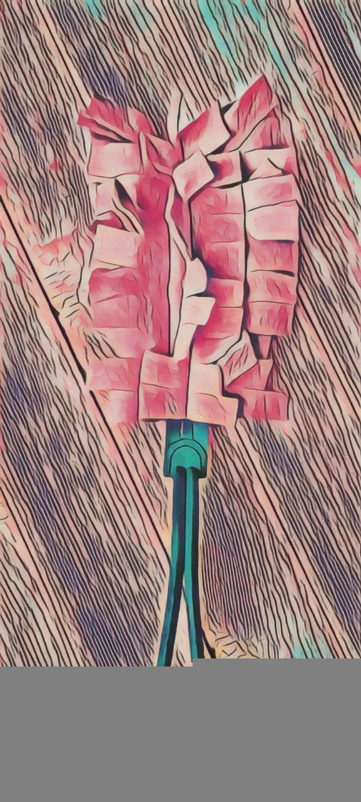 Plumeau à poussière lavable