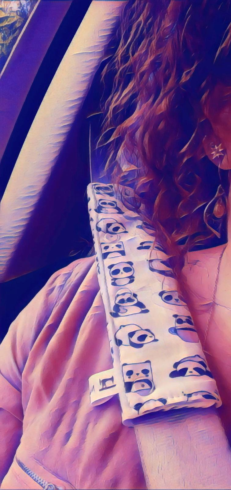 Protège ceinture de sécurité 