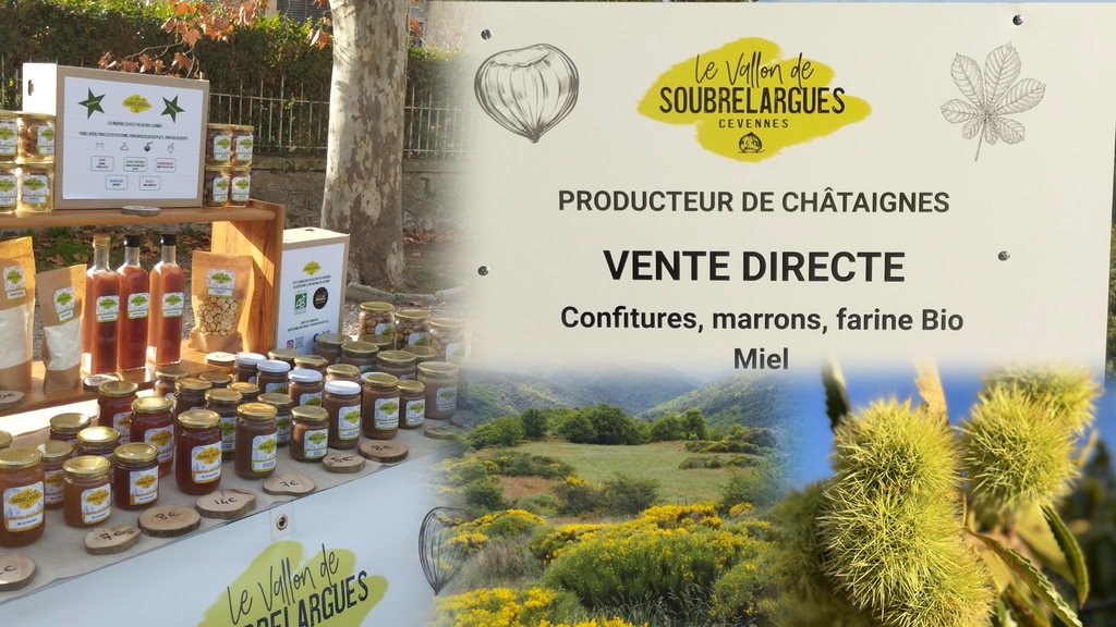 Le Vallon de Soubrelargues Cévennes