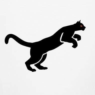 PUMA PROMOTION