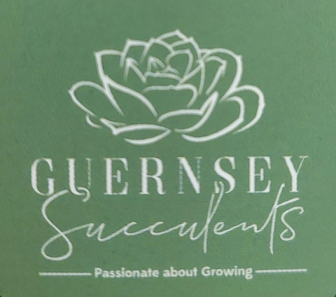 store_logo